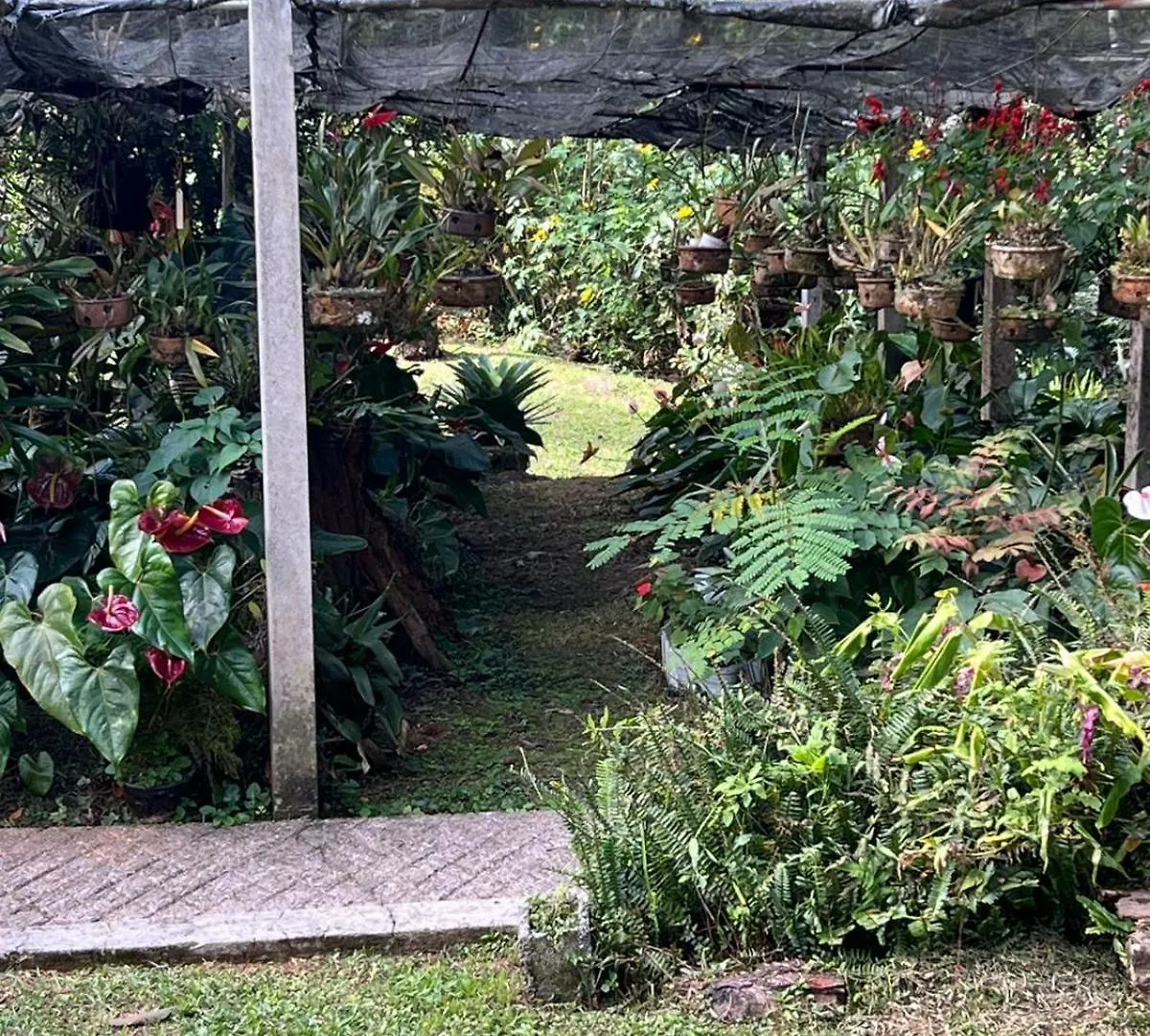 Sitio Som Das Aguas Benedito Novo Villa