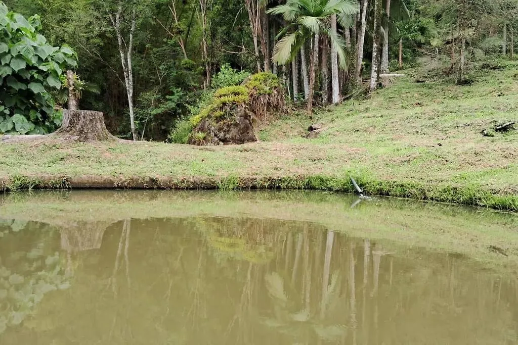 Sitio Som Das Aguas Benedito Novo 0*,