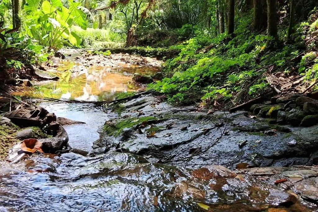 Sitio Som Das Aguas Benedito Novo 0*,  Brasile